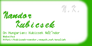 nandor kubicsek business card